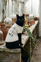 T-shirt Gillian