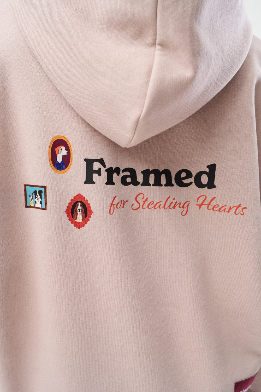 Bluza rozpinana Framed